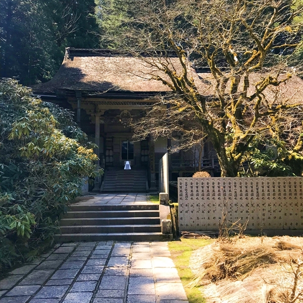 金剛三昧院の本堂内部と春に咲くシャクナゲの風景｜縁結び祈願の参拝者