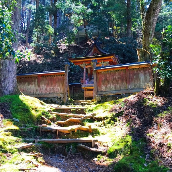金剛三昧院の鎮守社「四所明神社」｜1552年創建の歴史ある神社建築と高野山の守護神