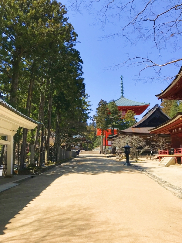 高野山の境内と魅力あふれる数々の堂｜和歌山県の世界遺産