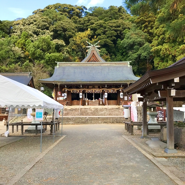 石畳が続く物部神社の静かな参道と周辺の緑