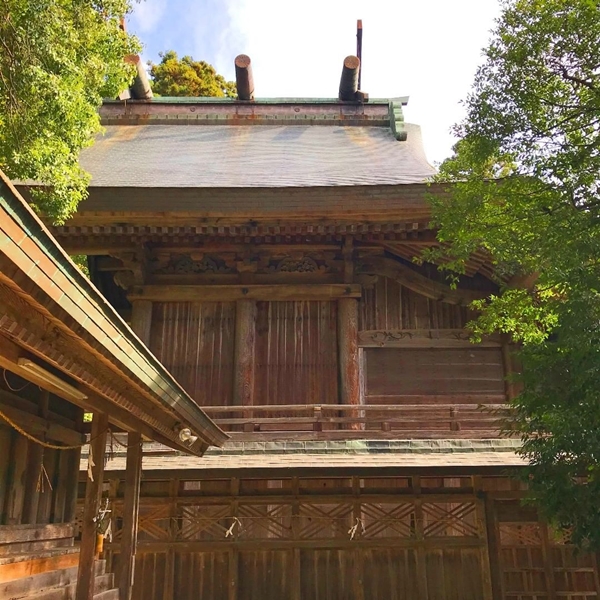 春日造りでは日本一の高さを誇る物部神社の本殿