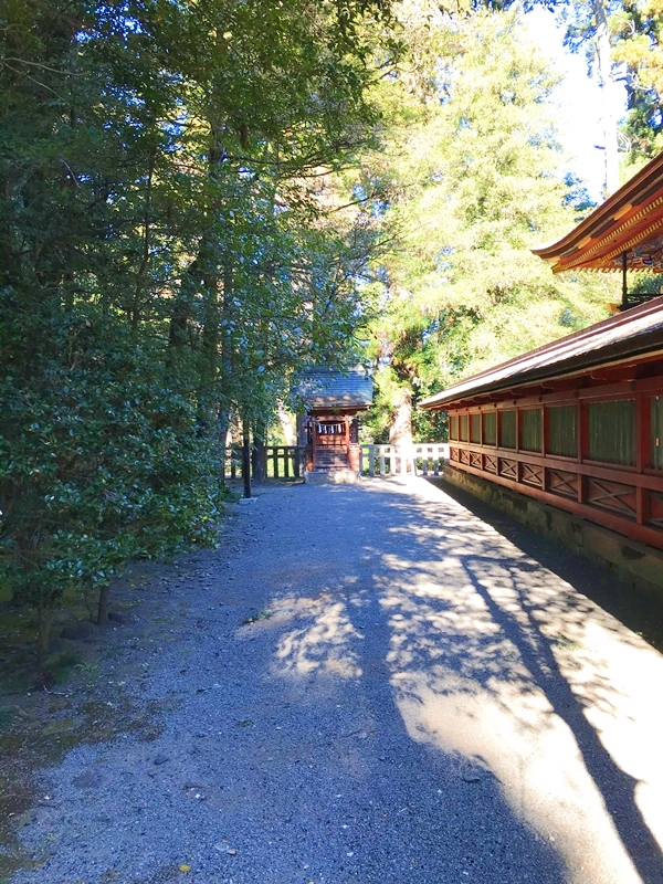 貫前神社 抜鉾若御子神社 ご祭神の子神をお祀りする境内社