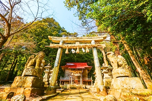 大国主命ゆかりの地である赤猪岩神社の外観と神話巡りの参拝記録