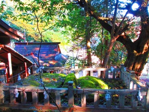 赤猪岩神社に伝わる神石と出雲神話の面影を残す境内の様子