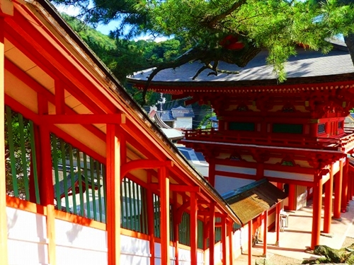 日御碕神社の参道から続く石段と周囲の景観を収めた写真