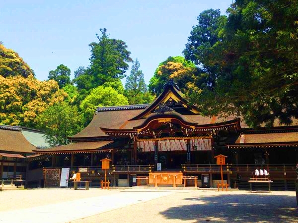 大神神社の拝殿前で行う祈願祈祷と日本最古の信仰を感じる参拝の様子