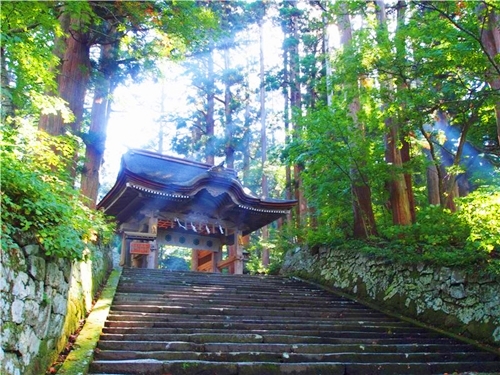 大神山神社奥宮へと続く参道の自然と祈願巡礼の風景