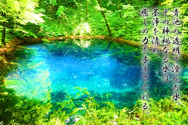 白神山地にある青池の透き通った青い水面と周囲の原生林