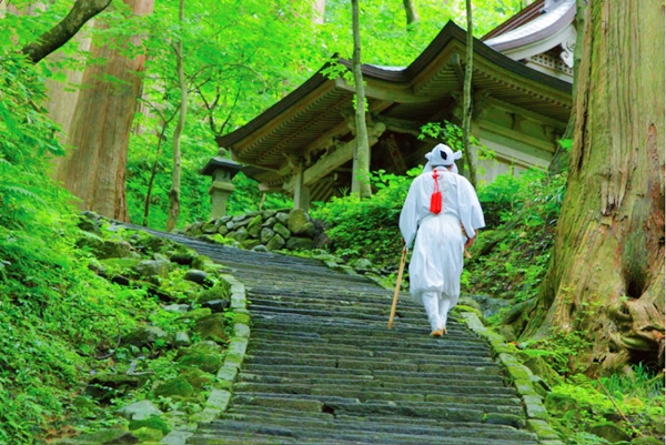 出羽三山神社の本殿へと続く長い石段と修験道の神域の風景