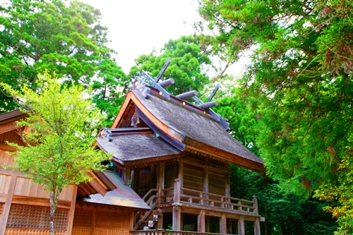 素戔鳴尊を祀る須佐神社の社殿と出雲神話を巡る参拝記録の様子