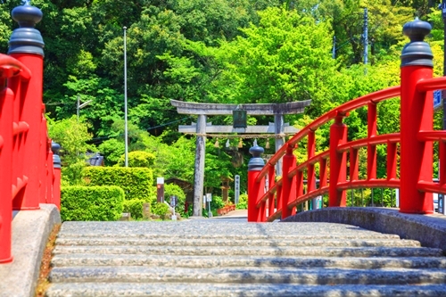 玉作湯神社の鳥居と美・縁結びにゆかりのある境内の参拝記録
