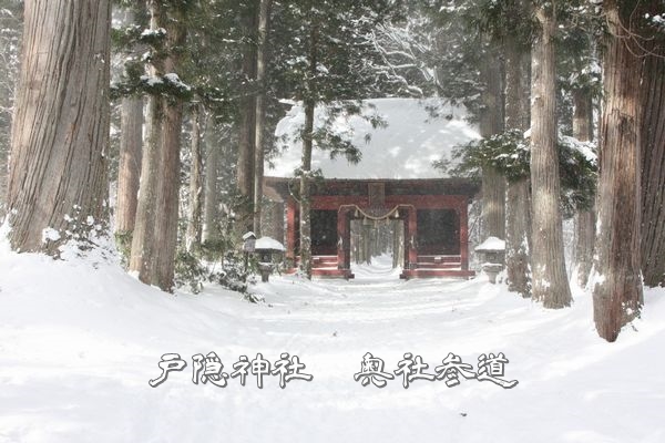 杉並木の参道を抜けた先に鎮座する戸隠神社奥社の荘厳な社殿と祈りの風景