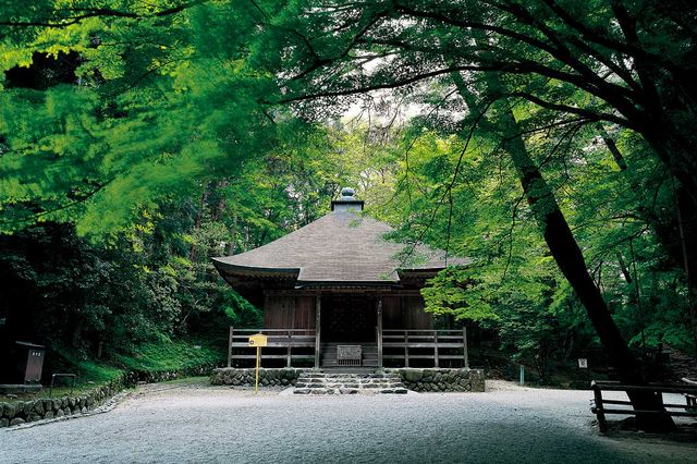 月見坂をはじめとする中尊寺境内の木々に囲まれた参道風景
