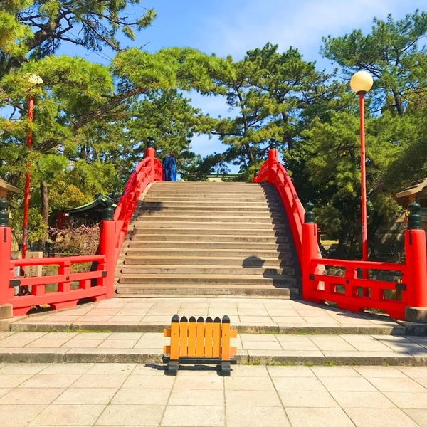 住吉大社のシンボル朱色の反橋（太鼓橋）と神池｜禊ぎの儀式と絶景写真スポットの紹介