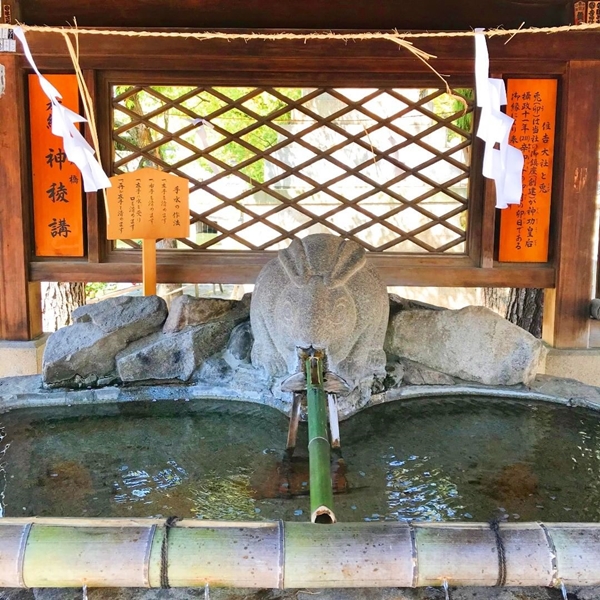 住吉大社の手水舎にある珍しい兎の形をした水口｜神使の兎にまつわる縁起とパワースポット
