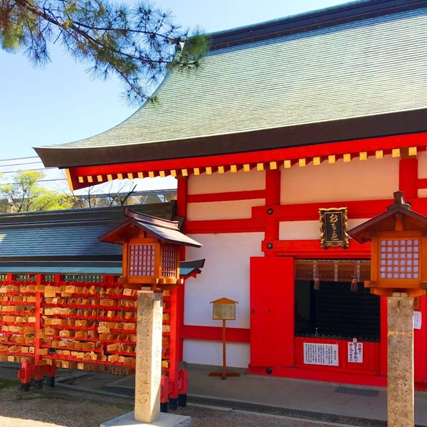 住吉大社の摂社「侍者社」と縁結び祈願で奉納される無数の「おもと人形」の光景