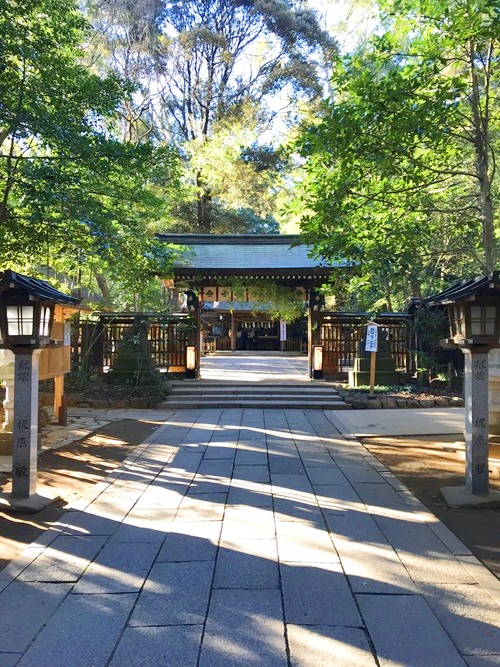 諏訪神社の全景｜千葉県流山市のパワースポット｜健御名方富命を祀る聖地