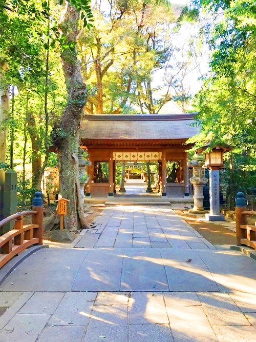 諏訪神社の参道｜エネルギー通路｜精気が流れる聖なる道