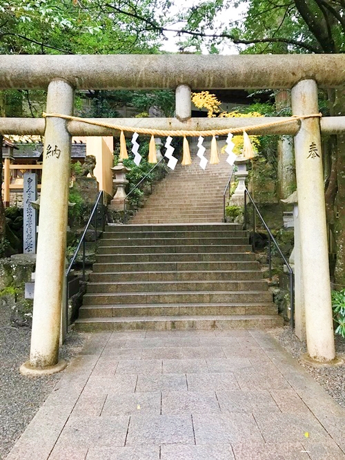 天河大辨財天社の荘厳な鳥居と自然環境｜パワースポットとしてのエネルギーを感じる景観