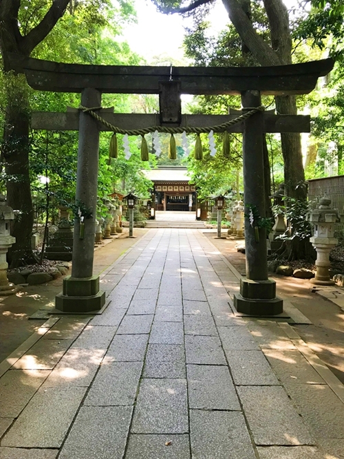 神社の拝殿前で行う神むすびの様子