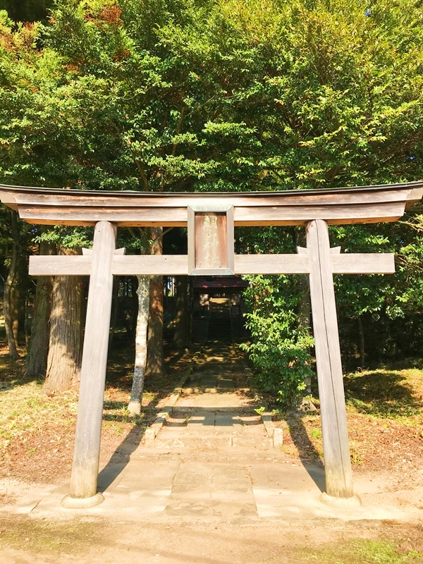 朝山神社 三の鳥居 拝殿前に立つ最終鳥居