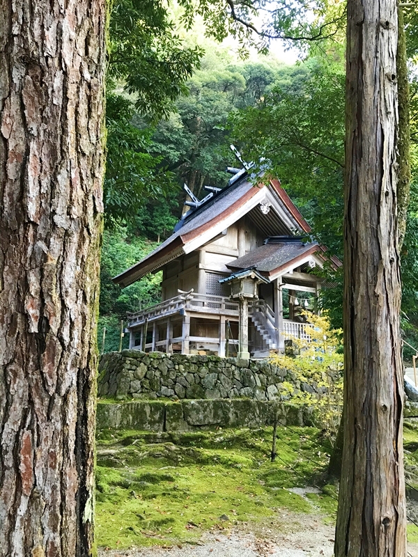 出雲大社の本殿後方に位置する素鵞社（そがのやしろ）の外観
