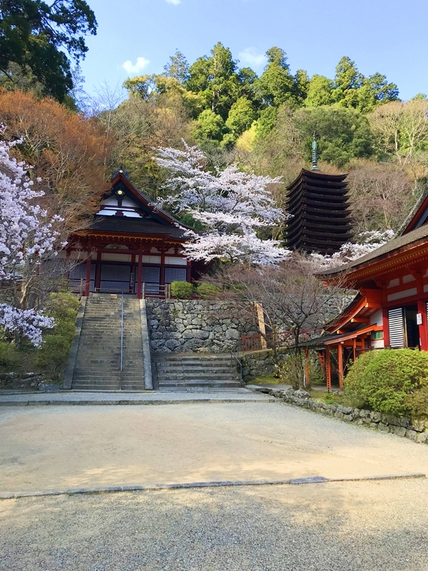 談山神社の歴史的資料と大化の改新に関する展示｜中臣鎌足と中大兄皇子の出会い