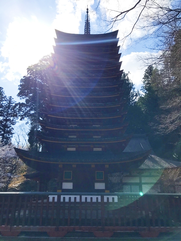 世界唯一の木造十三重塔と談山神社の鮮やかな紅葉のコントラスト｜秋の絶景