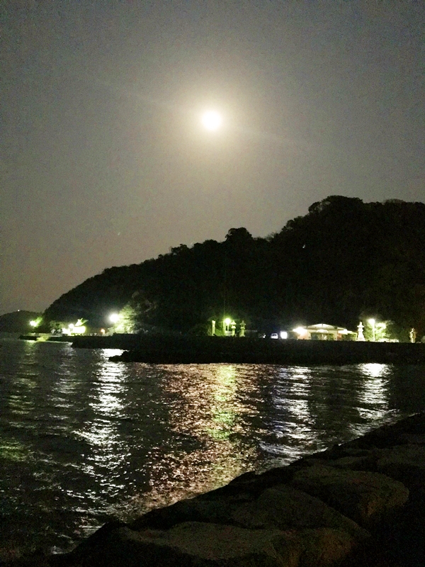 二見興玉神社の浜参宮の様子と二見浦海岸