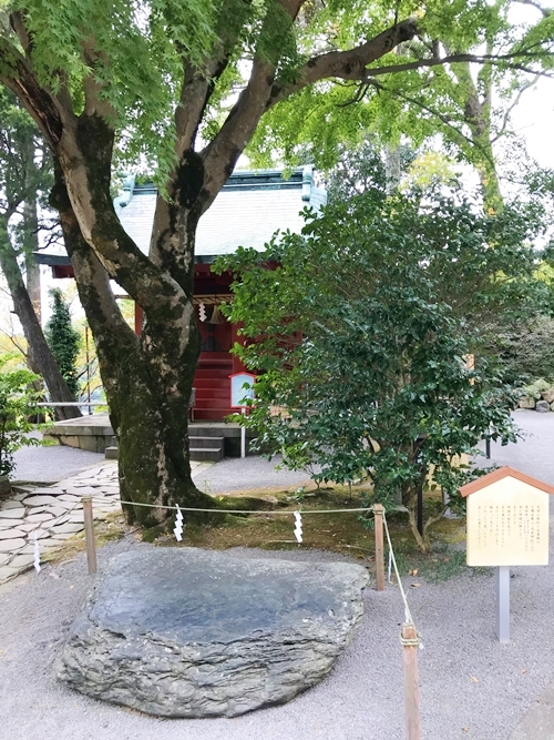 静岡県熱海市伊豆山に鎮座する伊豆山神社の境内で良縁を願う縁結び祈願の参拝記録