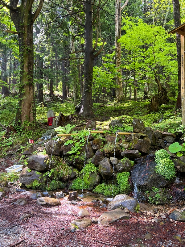 恐山冷水の清らかな雰囲気と開運祈願の巡礼記録