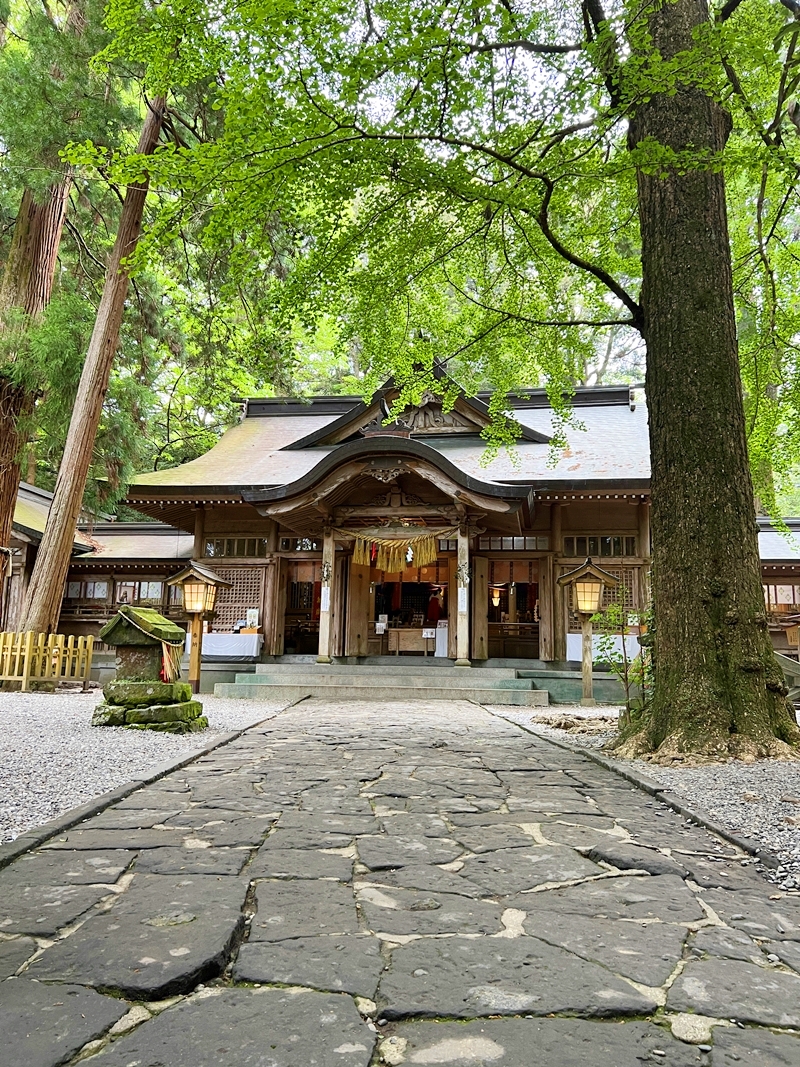 高千穂神社の神聖な参道と開運を願う参拝記録