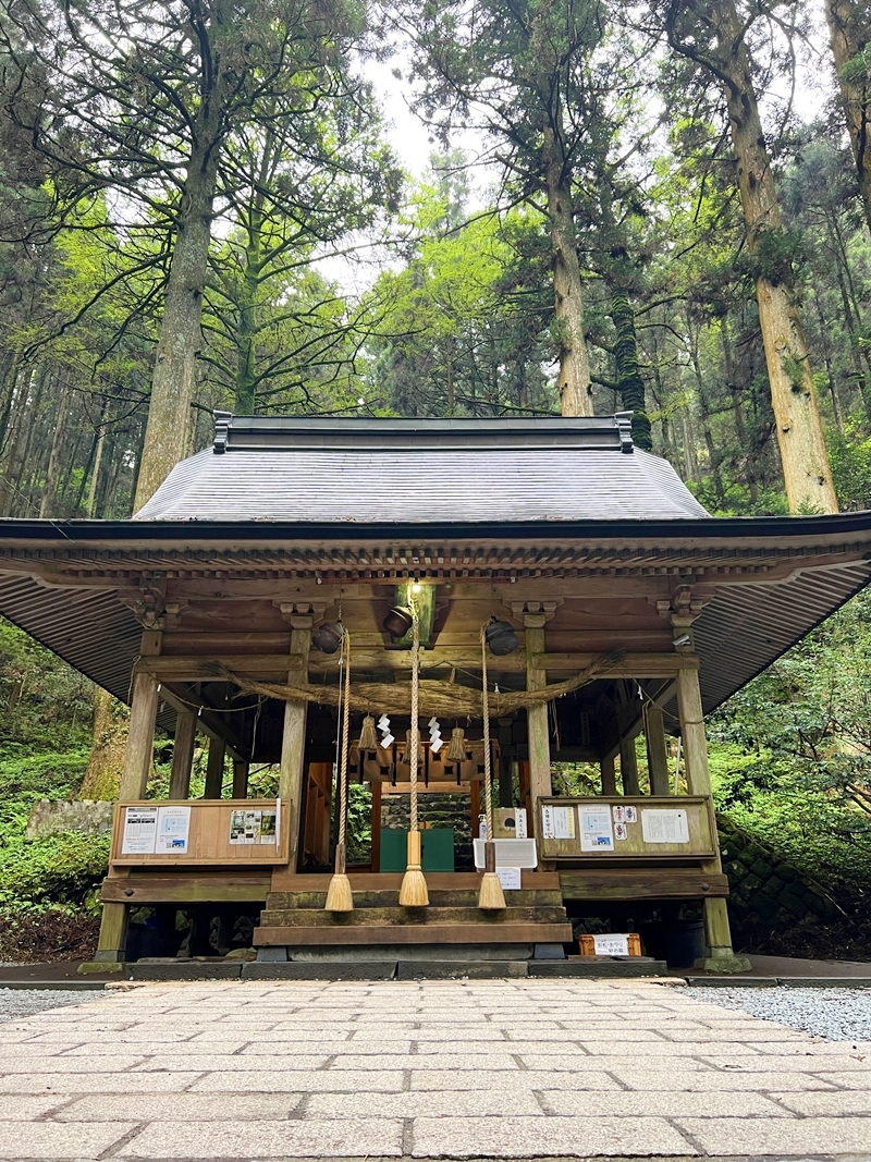 上色見熊野座神社の拝殿で恋愛成就を願う参拝の様子