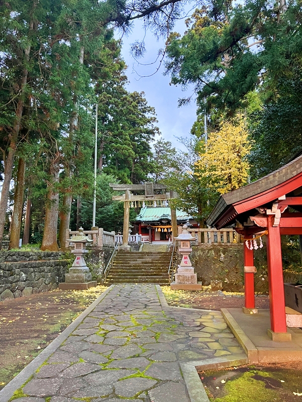 一幣司浅間神社の手水舎で心身を清め縁結び祈願に向き合った参拝記録