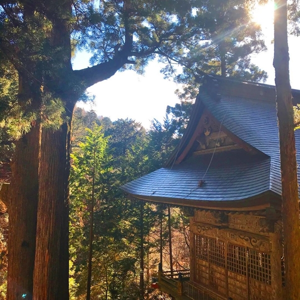 パワースポットで有名な榛名神社の矢立杉