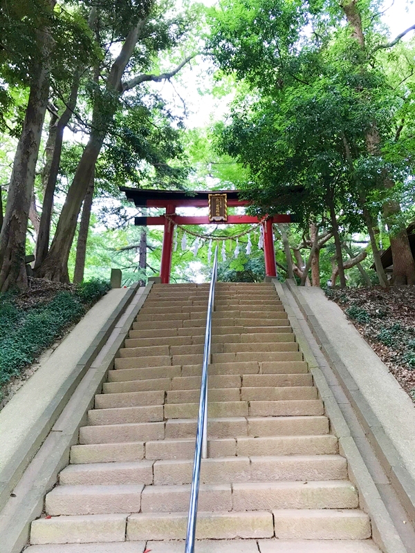 氷川女體神社 氷川女體橋と石段 見沼氷川公園に隣接する緑豊かな参道