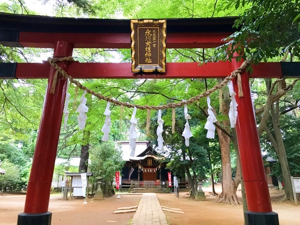 氷川女體神社 朱色の明神鳥居 武蔵国一宮の扁額