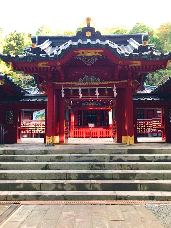 重要文化財に指定される箱根神社の拝殿と、その近くに立つ安産杉