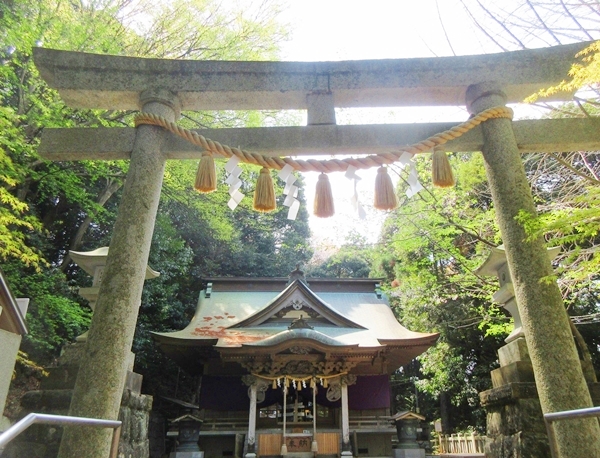 パワースポットで有名な泉神社の社殿