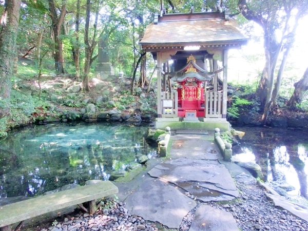 パワースポットで有名な泉神社の湧水