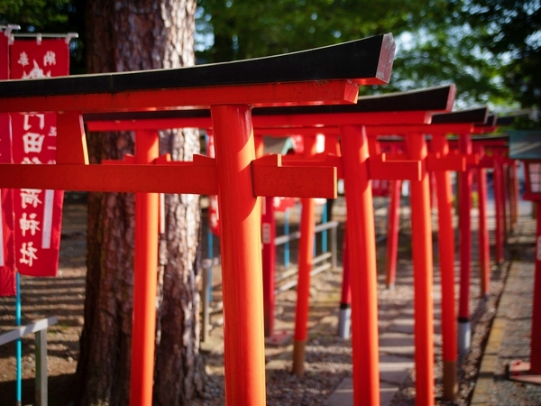 パワースポットで有名な門田稲荷神社の鳥居