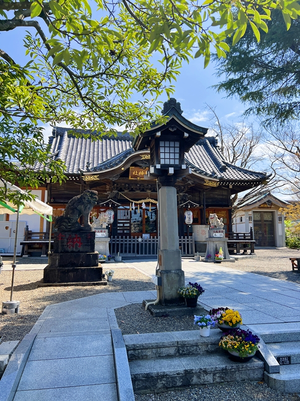 パワースポットで有名な八剱八幡神社の社殿