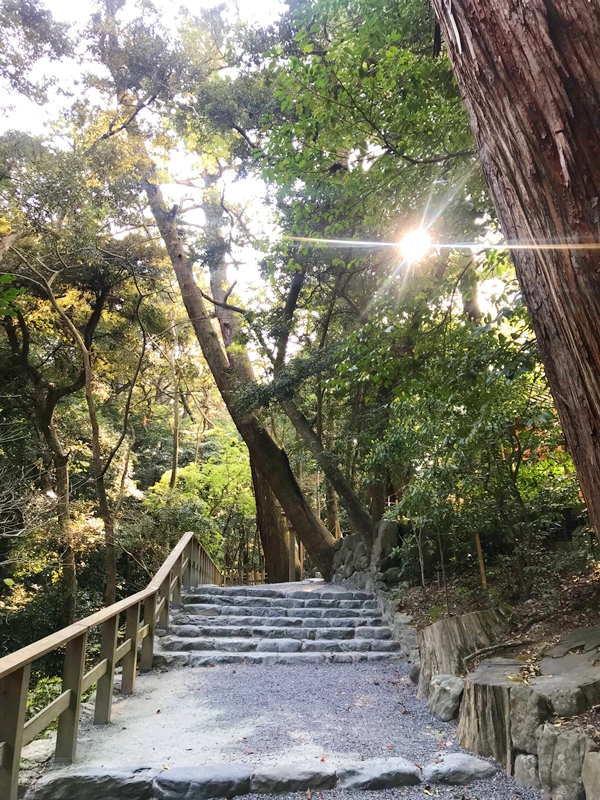 特別に拝見した外宮正宮内部の神聖な雰囲気