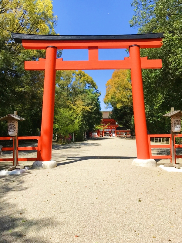 下鴨神社 糺の森 参道 世界遺産 太古の原生林が残るパワースポット