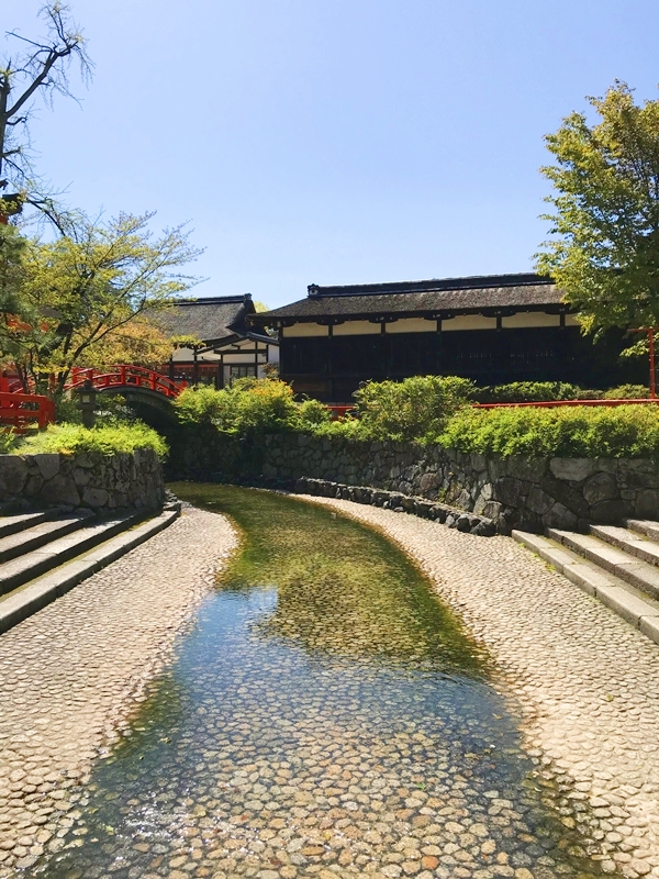 下鴨神社 御手洗池 みたらし団子発祥の地 無病息災のパワースポット