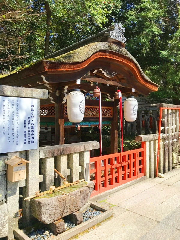 下鴨神社 御手洗社 井上社 瀬織津姫命を祀る ご神水が湧く聖地