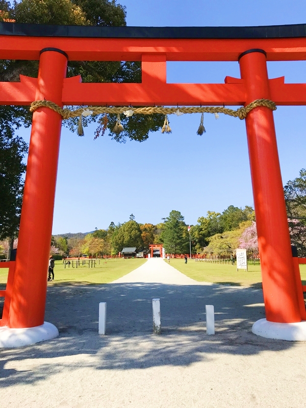 上賀茂神社 一の鳥居と広がる青芝生 世界遺産の開放的な境内