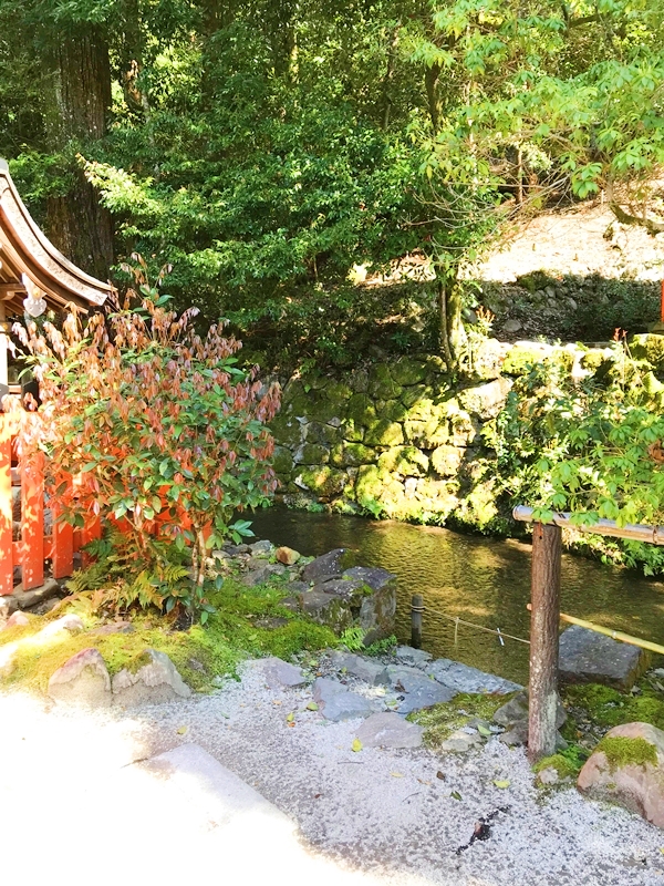 上賀茂神社 手水舎 神山湧水が流れる清めの場