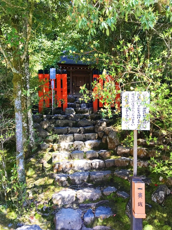 上賀茂神社 須波神社 高台に鎮座する末社 開運招福の神様