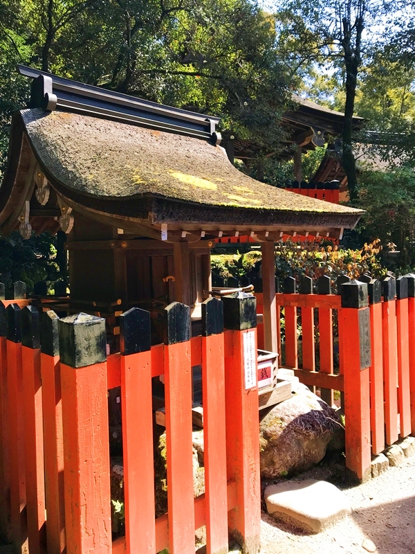 上賀茂神社 川尾神社 罔象女神を祀る 迷いを取り除く神様